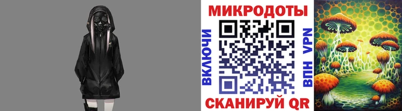 Галлюциногенные грибы Psilocybe Жердевка